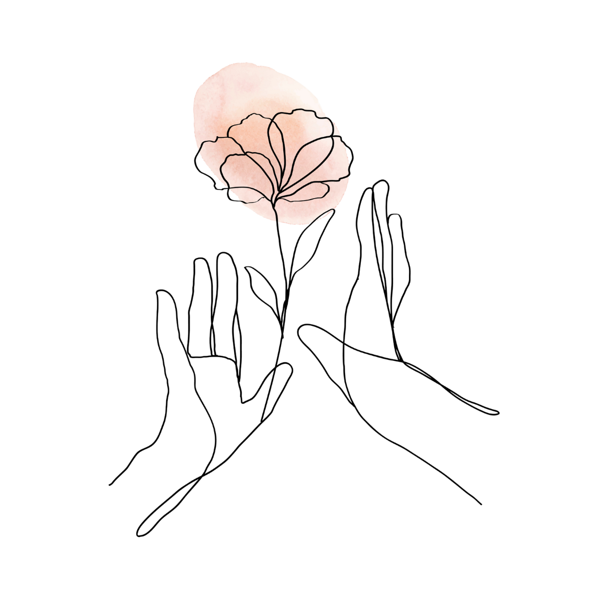Program Image