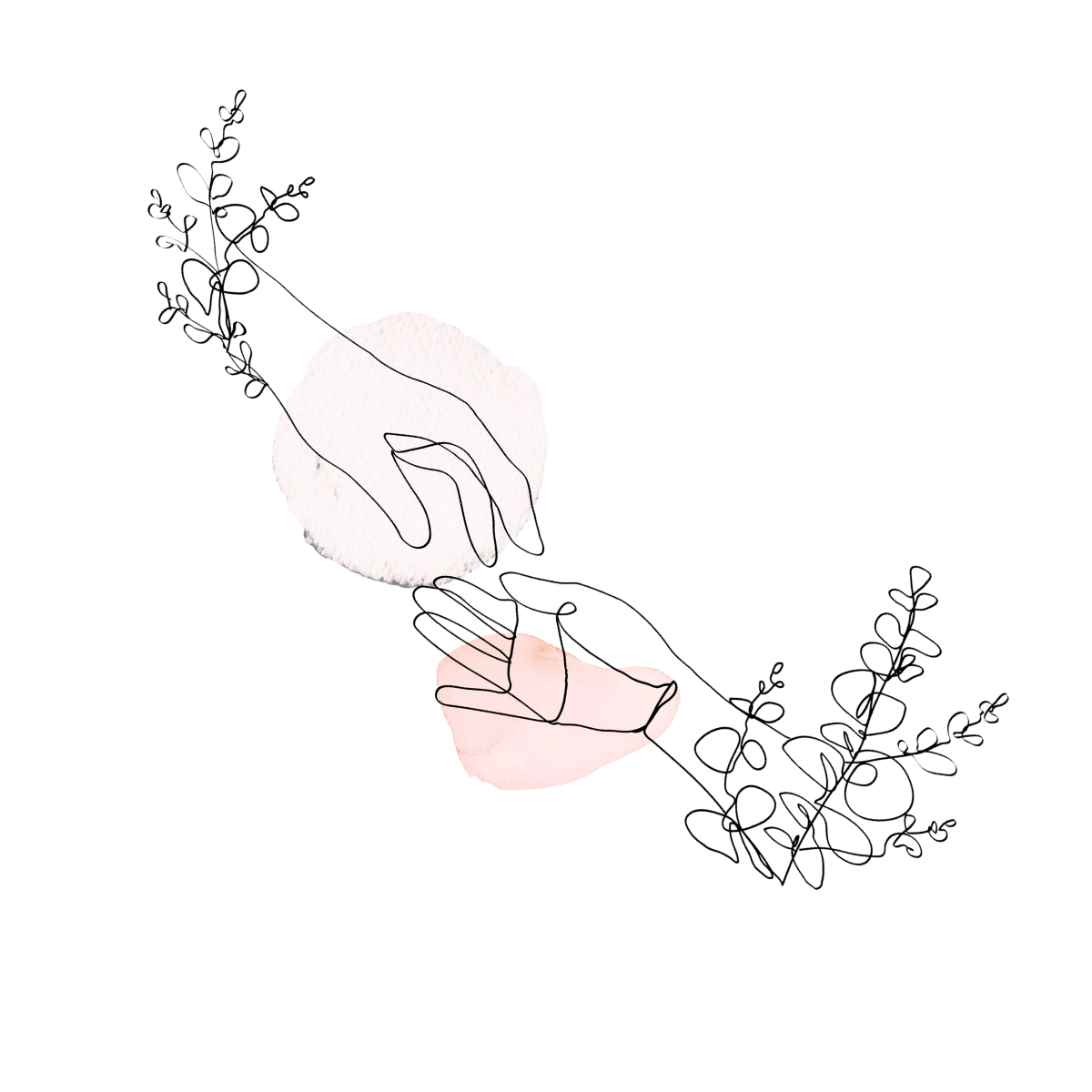 Program Image